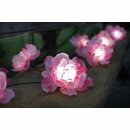 Smart Garden - Lichterkette mit pinken Rosen